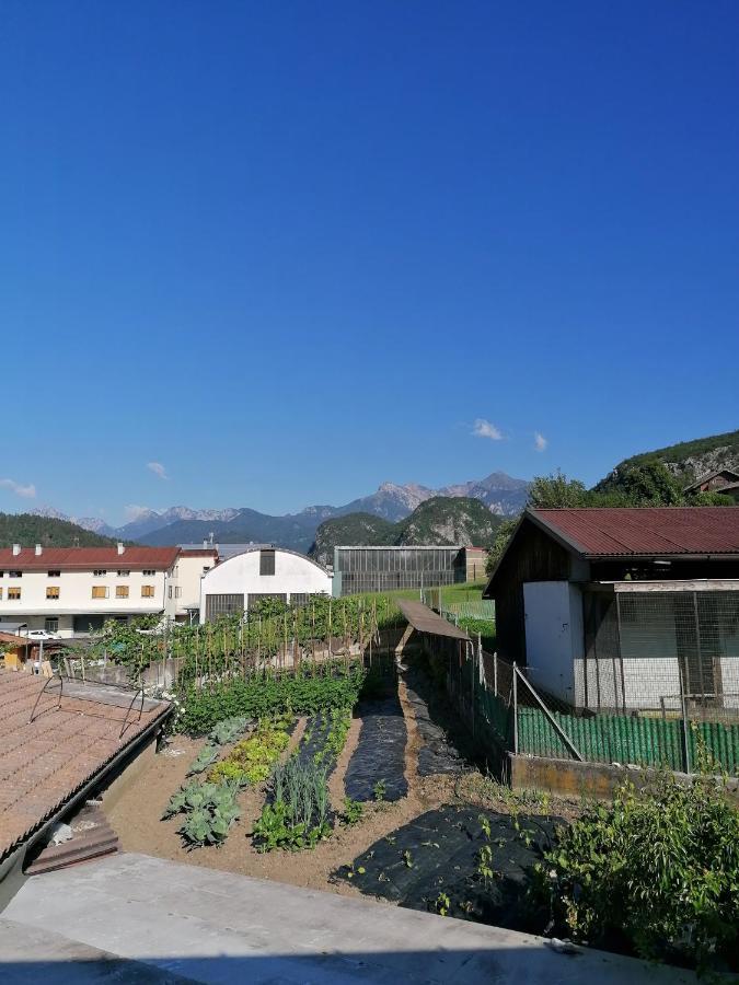 Отель Al Fogolar Villa Santina Экстерьер фото